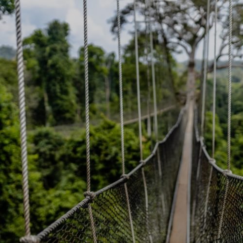 Exploring Ghana’s Historic Coast: Attractions Near Grace Courtyards